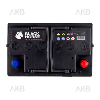 Автомобильный аккумулятор Black Horse 70R 620A 278x175x190. Фото 2