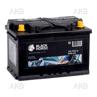Black Horse 70R 620A 278x175x190