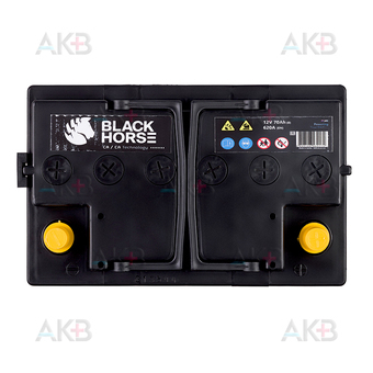 Автомобильный аккумулятор Black Horse 70R 620A 278x175x175 (низкий). Фото 2