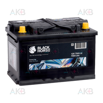Black Horse 70R 620A 278x175x175 (низкий)
