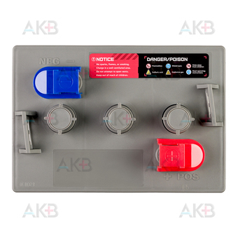 Грузовой аккумулятор UniPLUS DT106 6V 225 Ач (261x182x290) GOLF CAR BATTERY. Фото 1