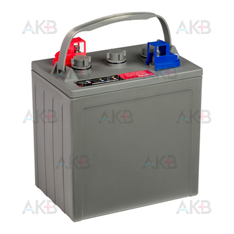 Грузовой аккумулятор UniPLUS DT106 6V 225 Ач (261x182x290) GOLF CAR BATTERY. Фото 2