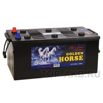 Golden Horse 225 евро 1400А 517х273х240